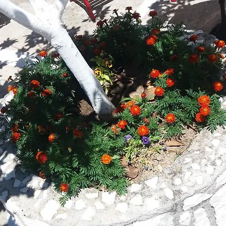 Pantelatos Apartment