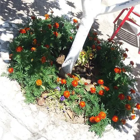 Pantelatos Apartmán Sami (Kefalonia)