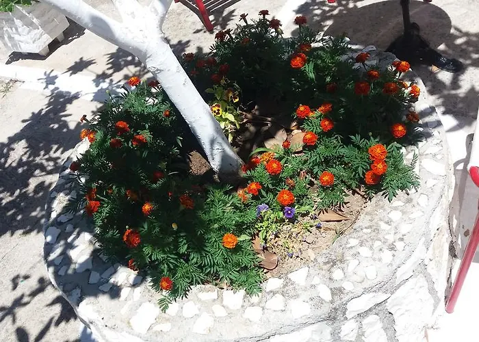 Pantelatos Apartment