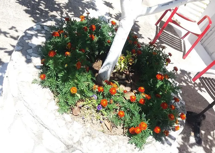 Pantelatos Apartment Sami (Kefalonia)