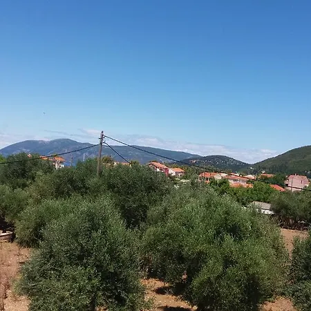 Pantelatos Daire